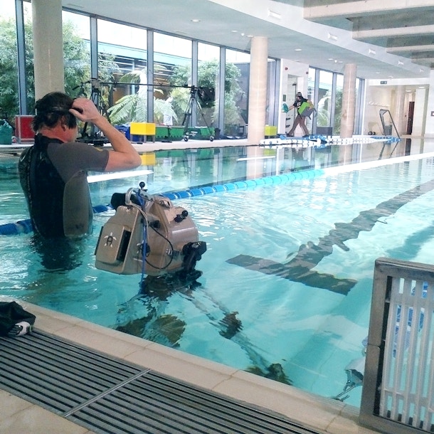 Speedo Bts 1