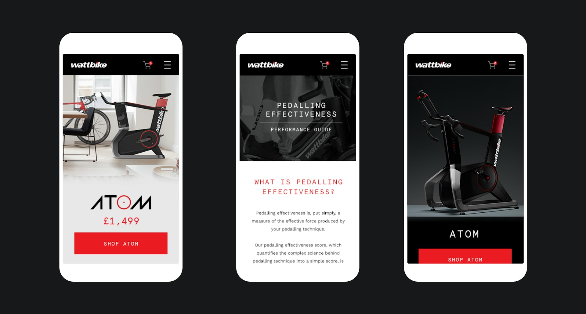 Wattbike Project Detail 6